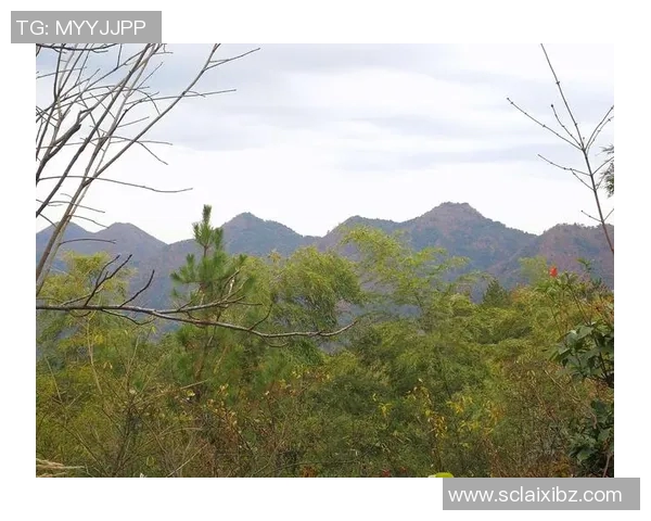 客山与奥伦堡的较量揭示了足球战术与团队合作的重要性