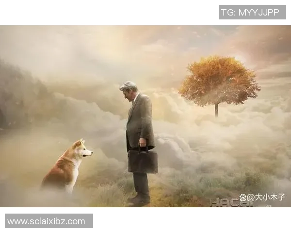 探索jj希克森的音乐之旅与创作灵感背后的故事与情感表达